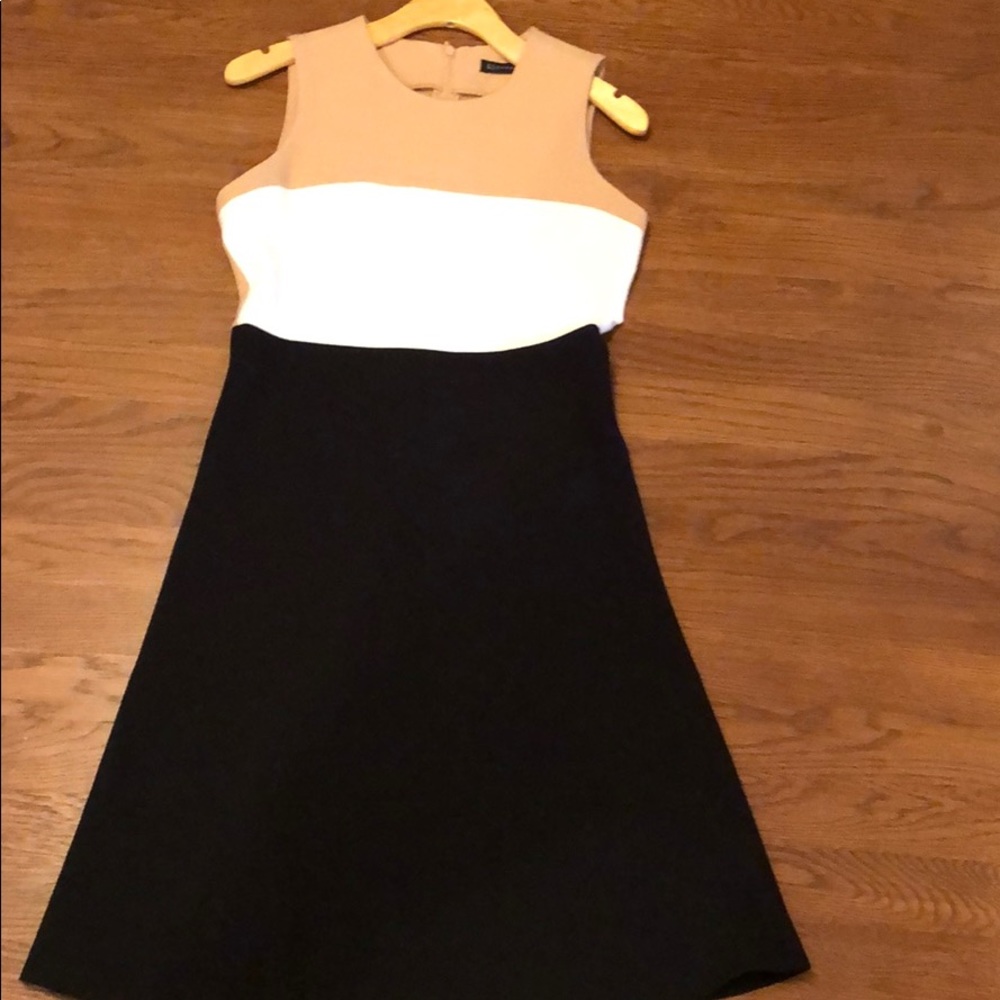 Zara woman colorblock work dress